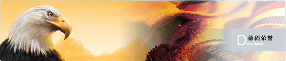 德科資質(zhì)榮譽(yù)